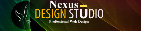 Professional Web Design company